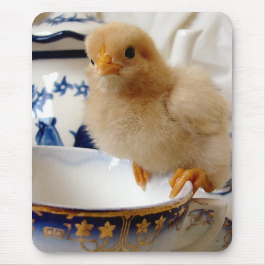Buff Chick in Tea Muismat (Voorkant)