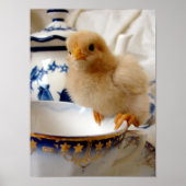 Buff Chick in Tea Poster (Voorkant)