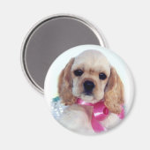 Buff Cocker puppy magneet (Voorkant / Achterkant)