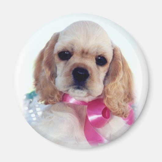 Buff Cocker puppy magneet (Voorkant)