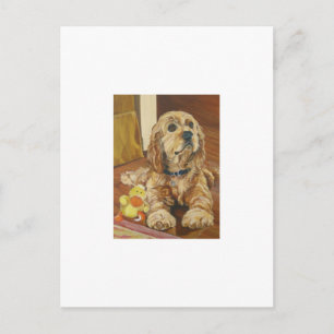 Buff Cocker Spaniel Briefkaart