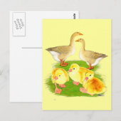 Buff Goose Family Briefkaart (Voorkant / Achterkant)