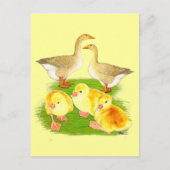 Buff Goose Family Briefkaart (Voorkant)