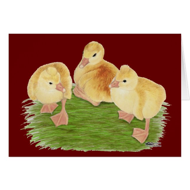 Buff Goslings Tufted (Voorkant Horizontaal)