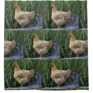 Buff Orpington Chicken Douchegordijn