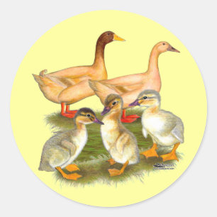 Buff Orpington Duck Family Ronde Sticker