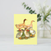 Buff Orpington Eendenfamilie Briefkaart (Staand voorkant)