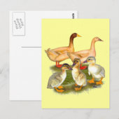 Buff Orpington Eendenfamilie Briefkaart (Voorkant / Achterkant)