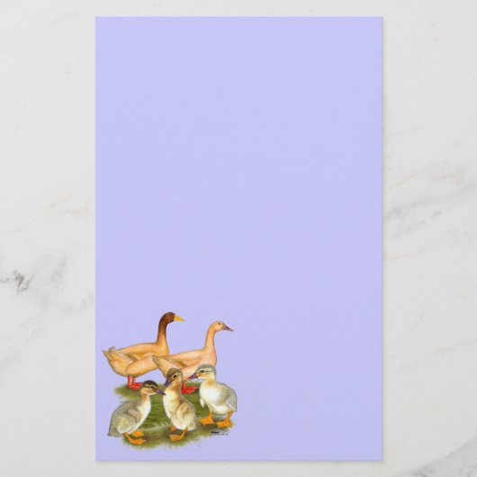 Buff Orpington Eendenfamilie Briefpapier (Voorkant)
