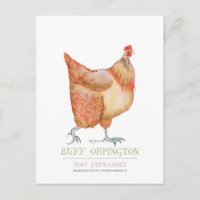 Buff Orpington hen, Tony Fernandes