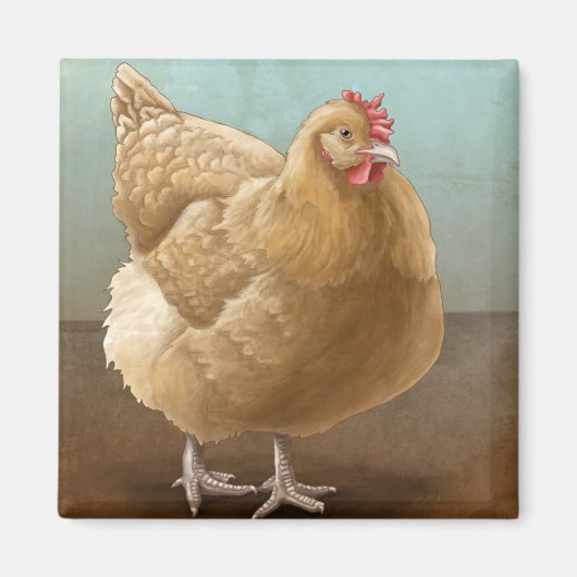 Buff Orpington Magneten (Voorkant)