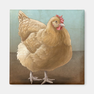 Buff Orpington Magnets Magneet