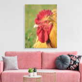 Buff Orpington Roster Canvas afdrukken (Insitu (Woonkamer))
