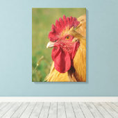 Buff Orpington Roster Canvas afdrukken (Insitu (Houten vloer))