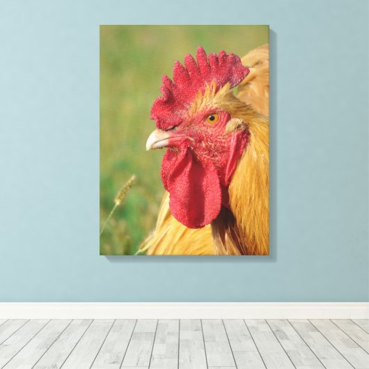 Buff Orpington Roster Canvas afdrukken (Insitu (Houten vloer))