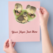 Buff Pomeranian Goslings Flyer (Hand)