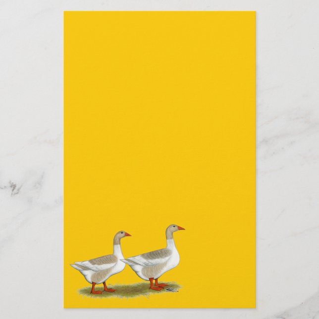 Buff Pomeranian Saddleback Geese (Voorkant)