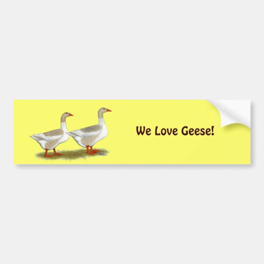Buff Pomeranian Saddleback Geese Bumpersticker (Voorkant)