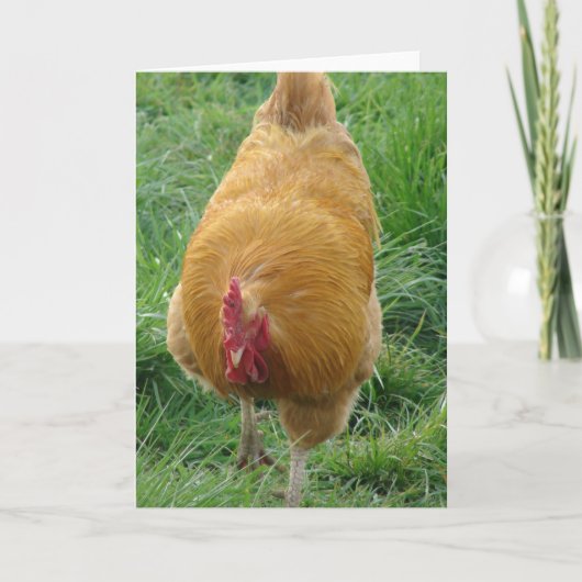Buff Rooster Kaart (Voorkant)