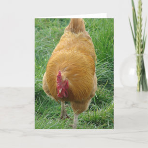Buff Rooster Kaart