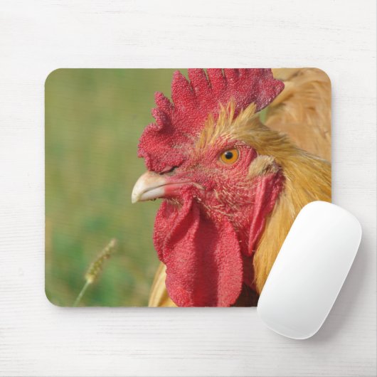 Buff Rooster Muismat (Met muis)