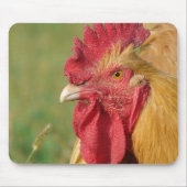 Buff Rooster Muismat (Voorkant)