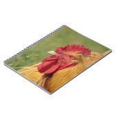 Buff Rooster Notitieboek (Linkerzijde)