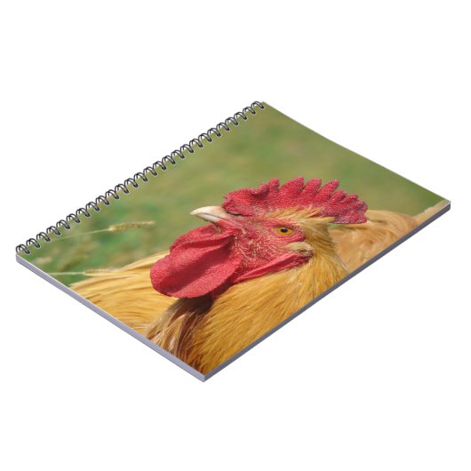 Buff Rooster Notitieboek (Linkerzijde)