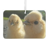 Buff Silkie Chicken Chick Luchtverfrisser (Achterkant)