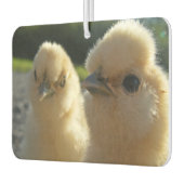 Buff Silkie Chicken Chick Luchtverfrisser (Links)