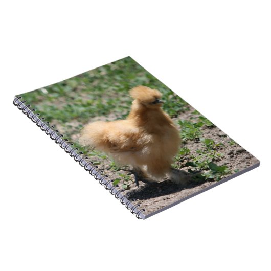 Buff Silkie Chicken-laptop Notitieboek (Rechterzijde)