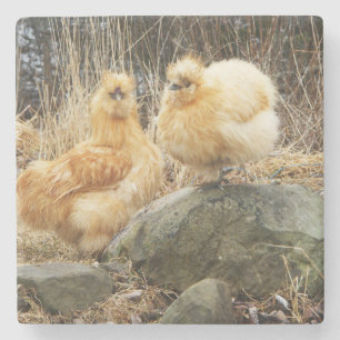 Buff Silkie Chickens Onderzetter