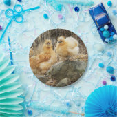 Buff Silkie Chickens Papieren Bordje (Feest)