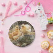 Buff Silkie Chickens Papieren Bordje (Feest)