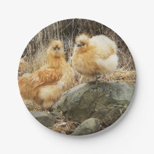Buff Silkie Chickens Papieren Bordje