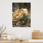 Buff Silkie Chickens Standing Poster (Keuken)