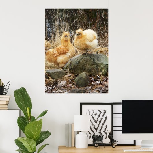 Buff Silkie Chickens Standing Poster (Thuiskantoor)