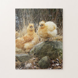 Buff silkie kippen legpuzzel