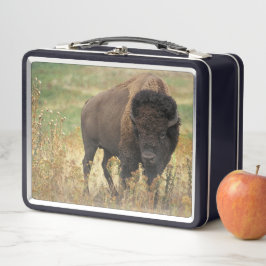 Buffalo