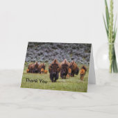Buffalo 2 Thank You Card Bedankkaart (Voorkant)