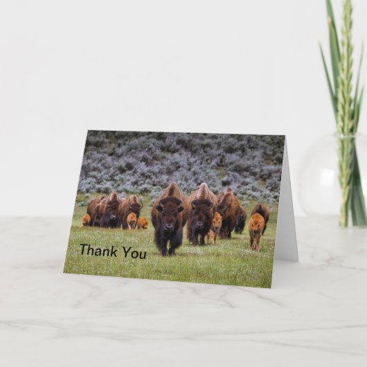 Buffalo 2 Thank You Card Bedankkaart (Voorkant)