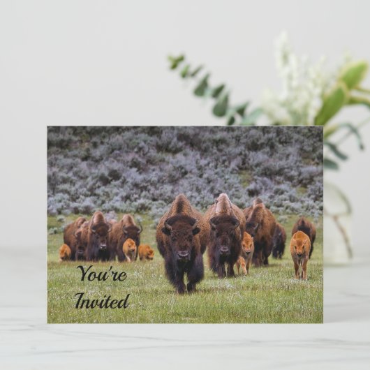 Buffalo 2 uitnodiging op zaterdag (Staand voorkant)