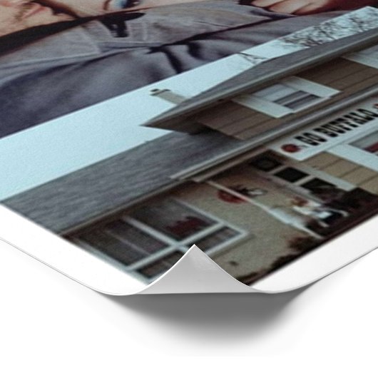 Buffalo 66 poster (Hoek)