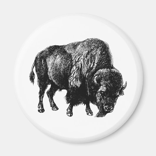 Buffalo American Bison Magnet (Voorkant)
