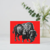 Buffalo American Bison Wood Engraving Briefkaart (Staand voorkant)