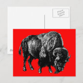 Buffalo American Bison Wood Engraving Briefkaart (Voorkant / Achterkant)