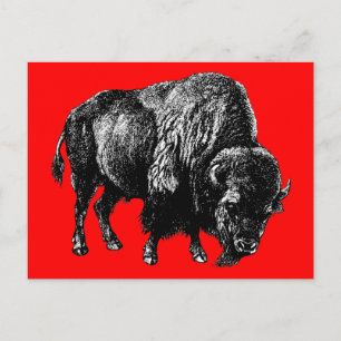 Buffalo American Bison  Wood Engraving Briefkaart