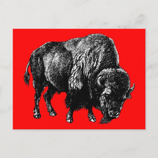 Buffalo American Bison Wood Engraving Briefkaart (Voorkant)