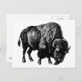 Buffalo American Bison  Wood Engraving Briefkaart (Voorkant / Achterkant)