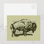 Buffalo Art Briefkaart (Voorkant / Achterkant)